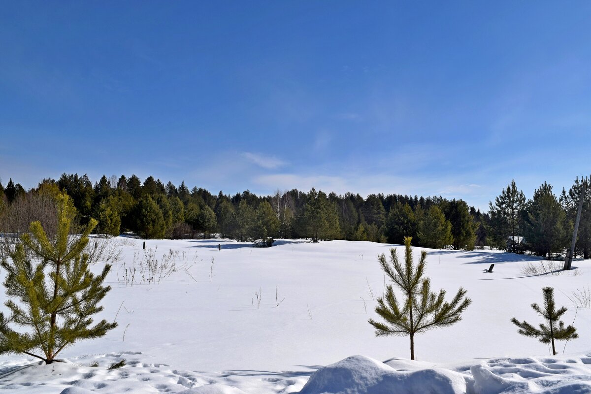 А за городом зима. - ВикТор Быстров