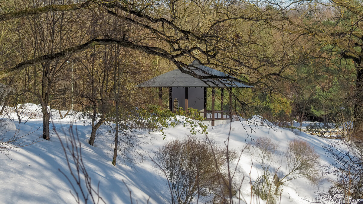 В Японском Садике - юрий поляков