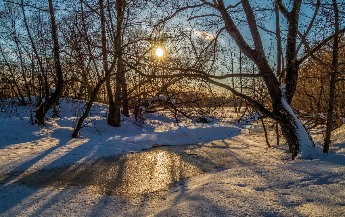 Весна набирает обороты 6 - Андрей Дворников