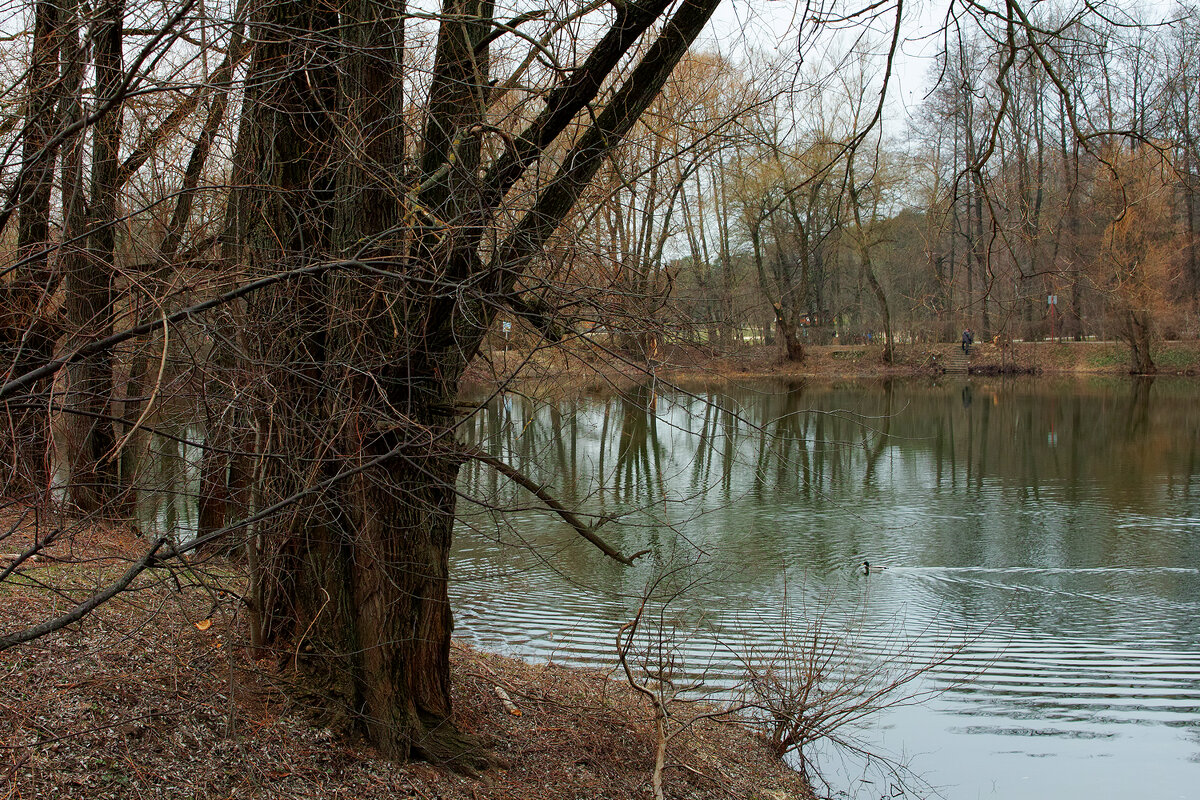 Кузьминский парк - Игорь Белоногов