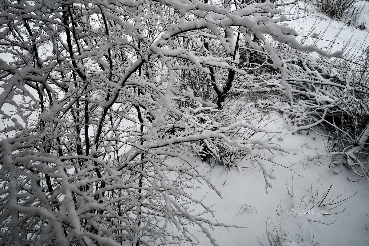 Снежная природа сказка - סּﮗRuslan HAIBIKE Sevastyanovסּﮗסּ