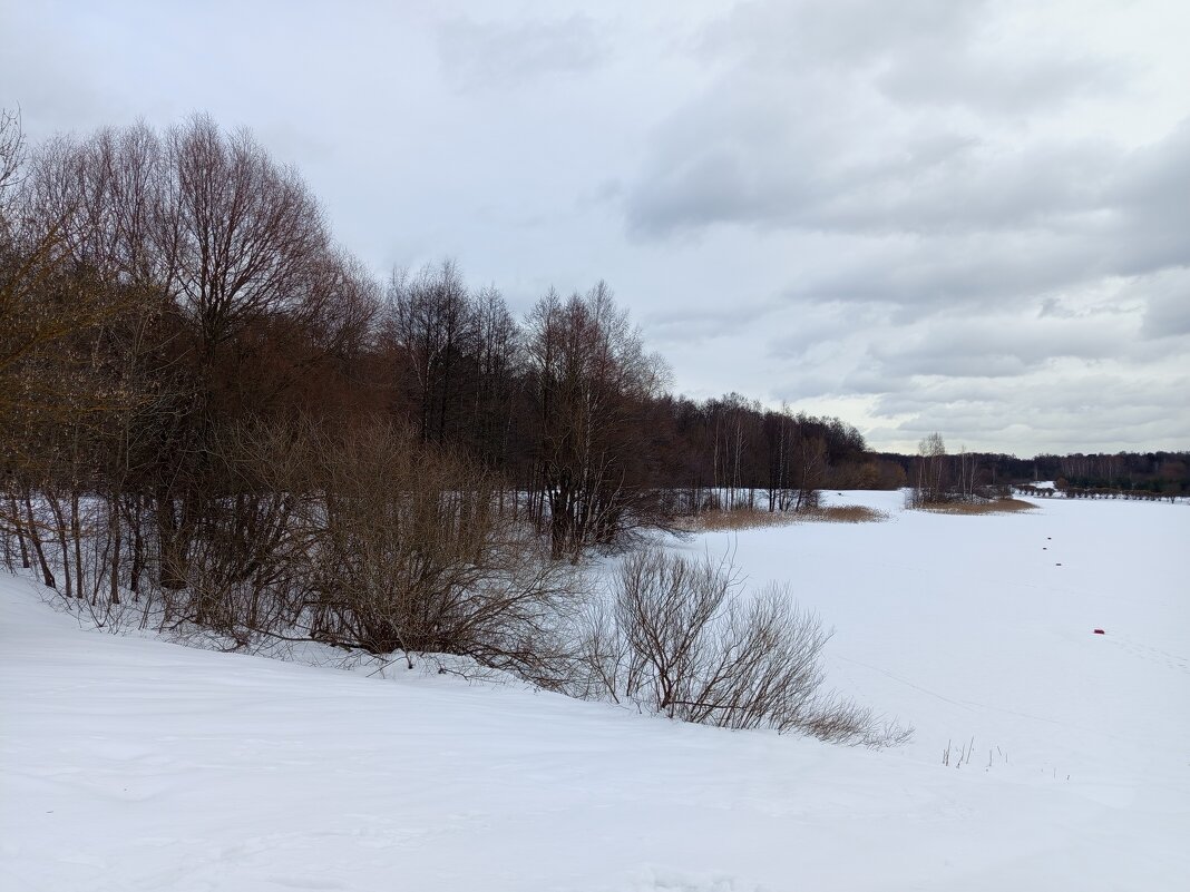 Начало марта в Измайловском парке - Андрей Лукьянов