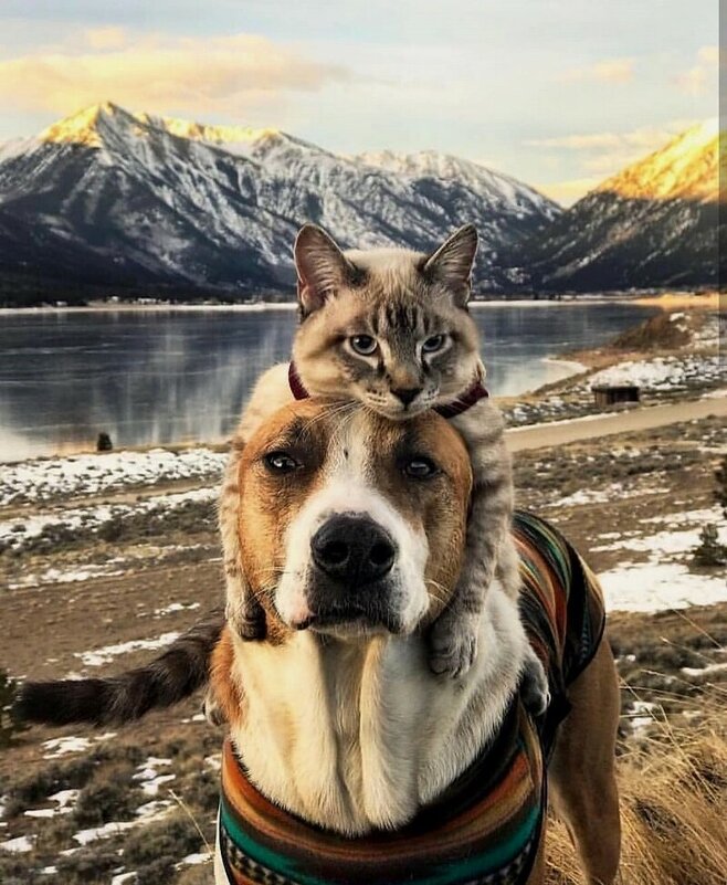 Мы в походе ! - Валерий Кокорев