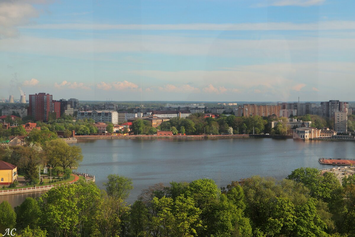 Верхний пруд в городе Калининграде - Любовь Сахарова