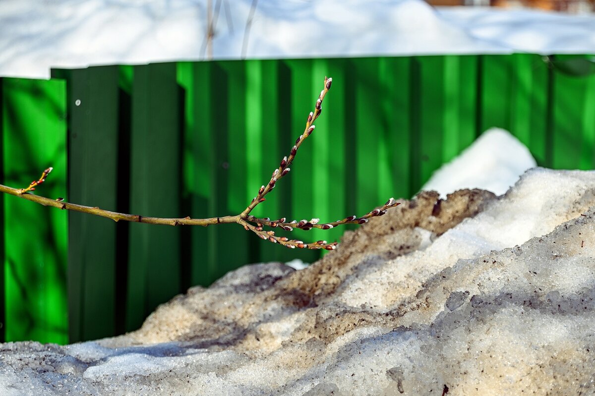 Пробуждение - Валерий Иванович