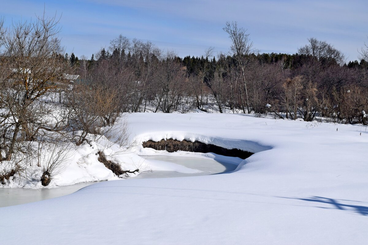 Речка Чур. - ВикТор Быстров