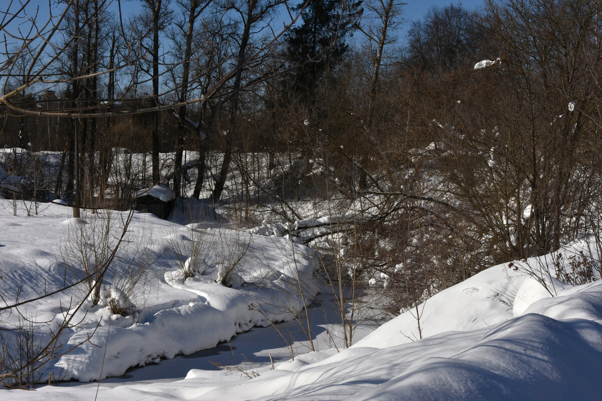 Московская область. Федоскино. - Наташа *****