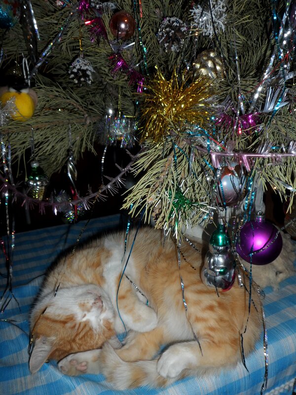 Мики - Татьяна Иваненкова