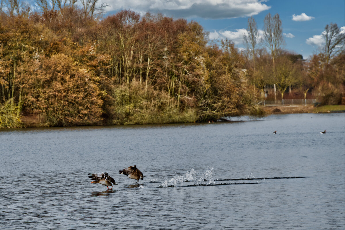 Озеро Липпа - Jakob Dick