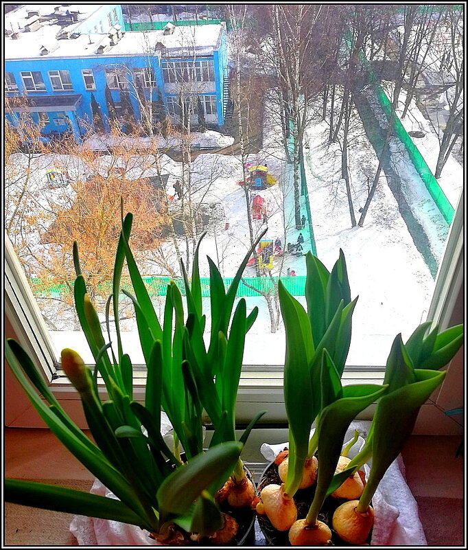 Весенние цветы - Ольга Довженко