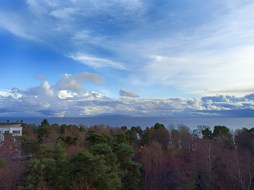 Рассвет над Финским заливом. - Лилия *