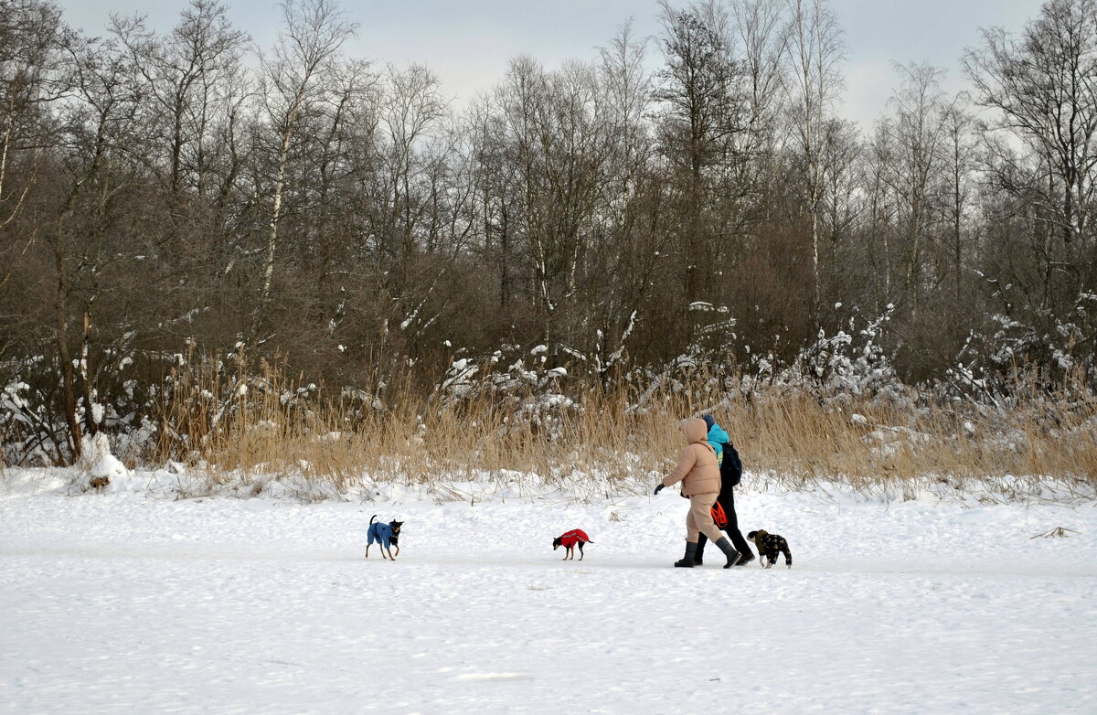 "Веду здоровый образ жизни - для нездорового не хватает денег" - AleksSPb Лесниченко
