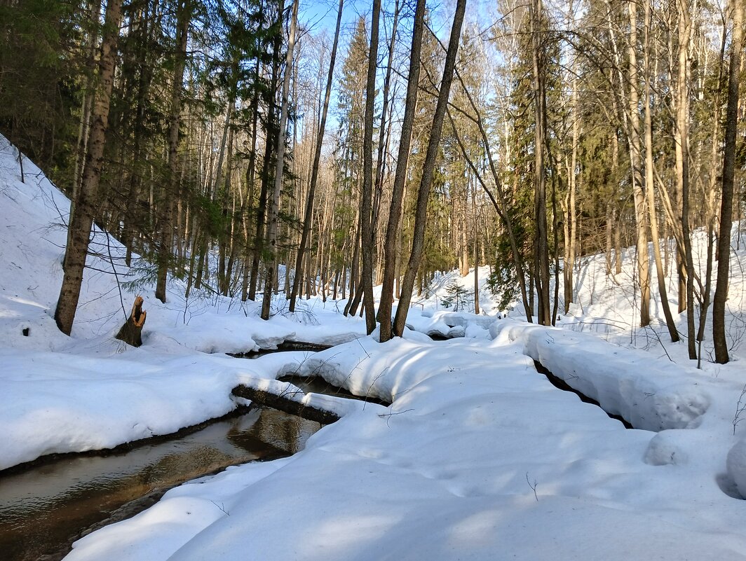 ручей найдет свой путь - Владимир 
