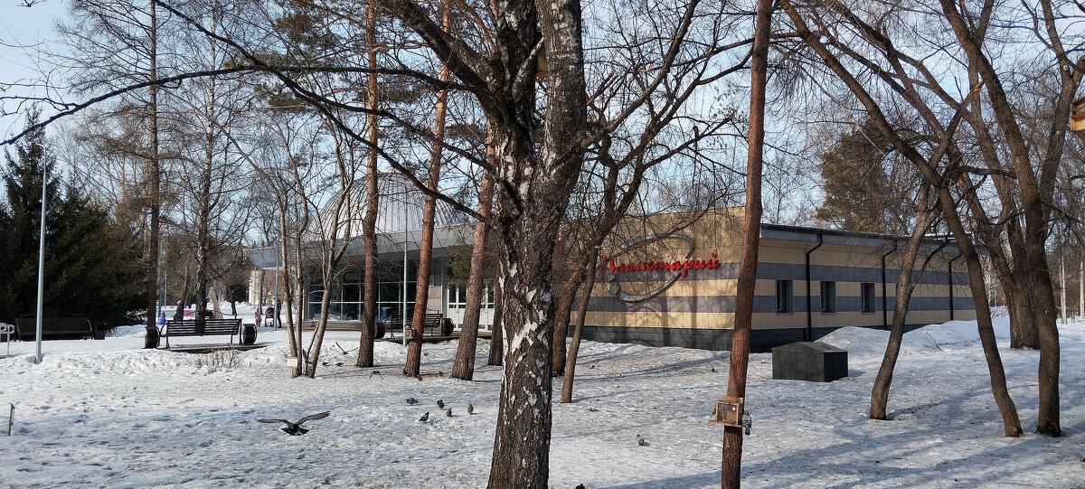 Парк имени Гагарина. - Радмир Арсеньев