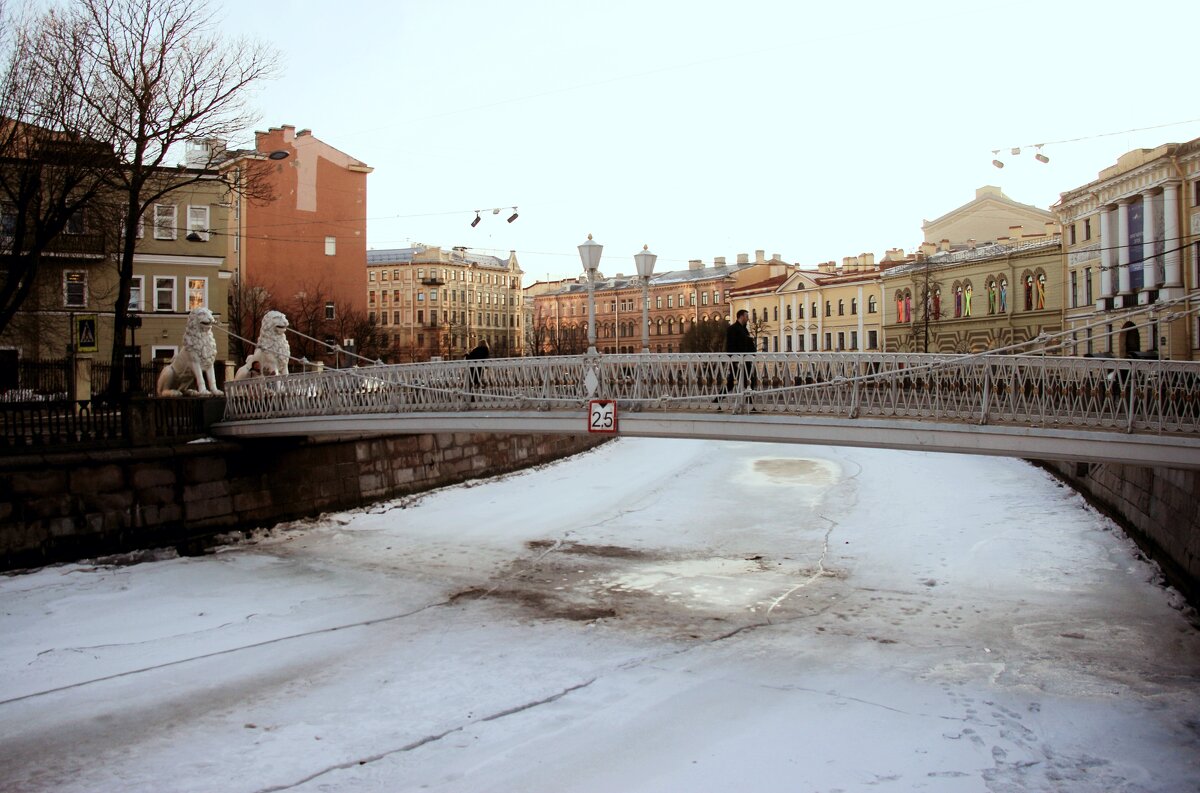 Львиный мостик - Наталья Герасимова
