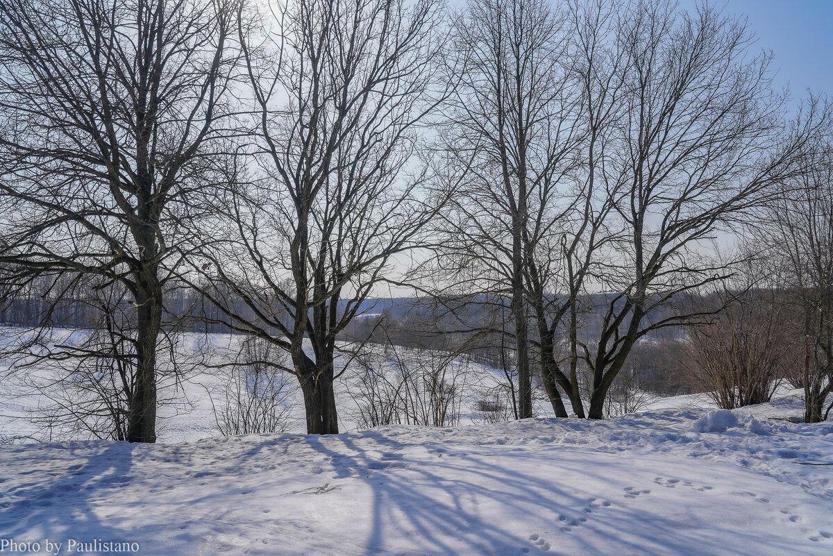 Март в Царицыно... - Владимир Жданов