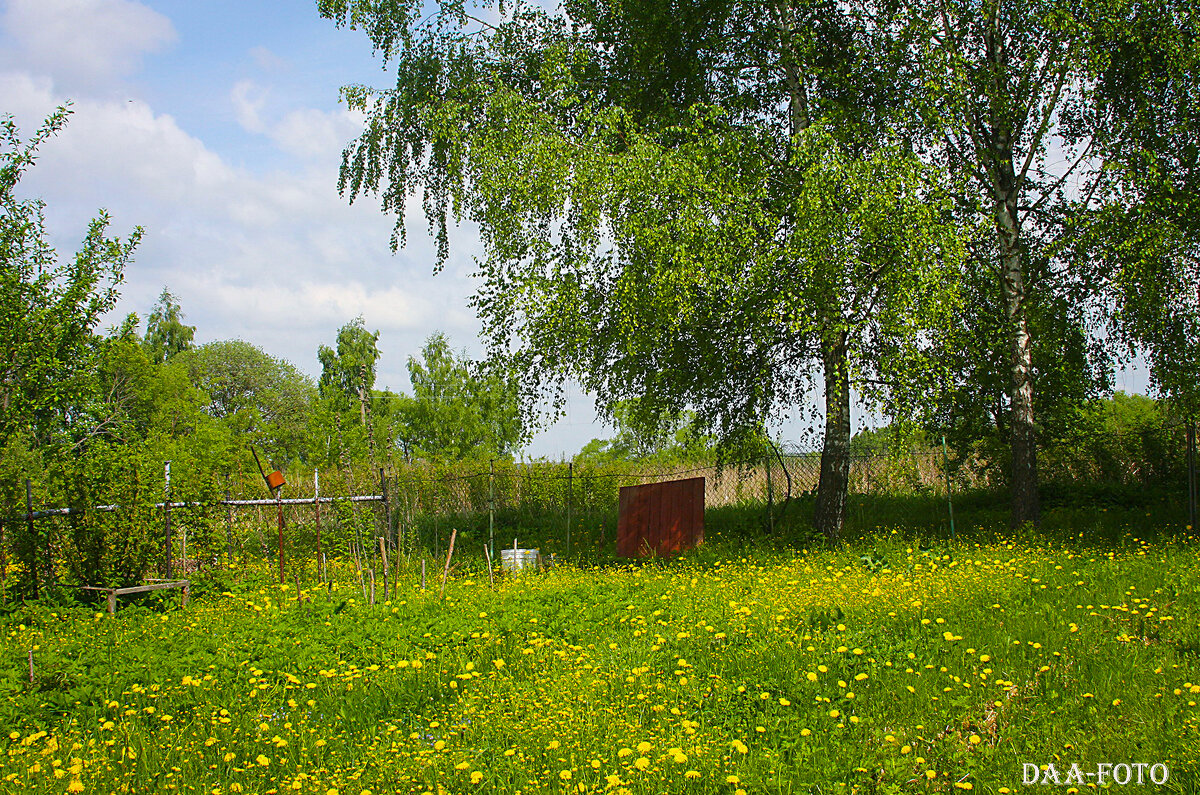 На краю деревни. - Александр Дмитриев