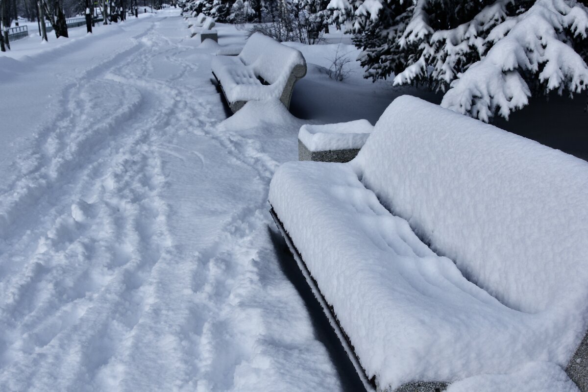 После снегопада - viktor 