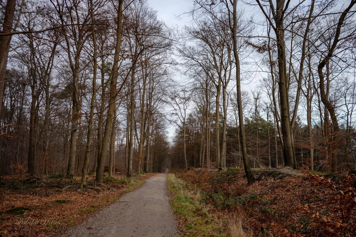 Январский маршрут... - Николай Гирш