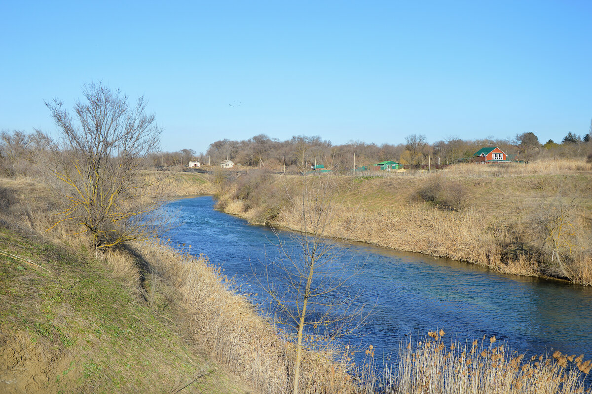Весенний солнечный день...река Егорлык. - Надежда Куркина 