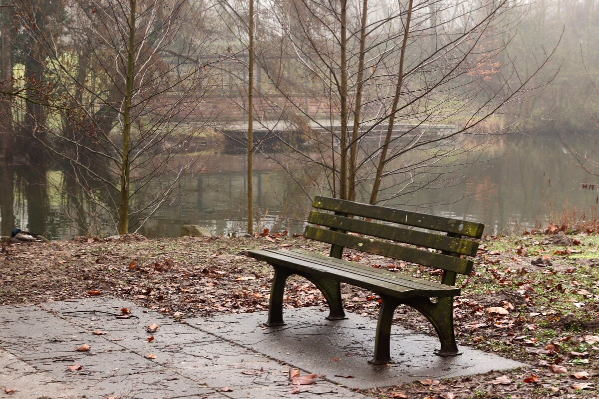 В ожидании - Юрий. Шмаков