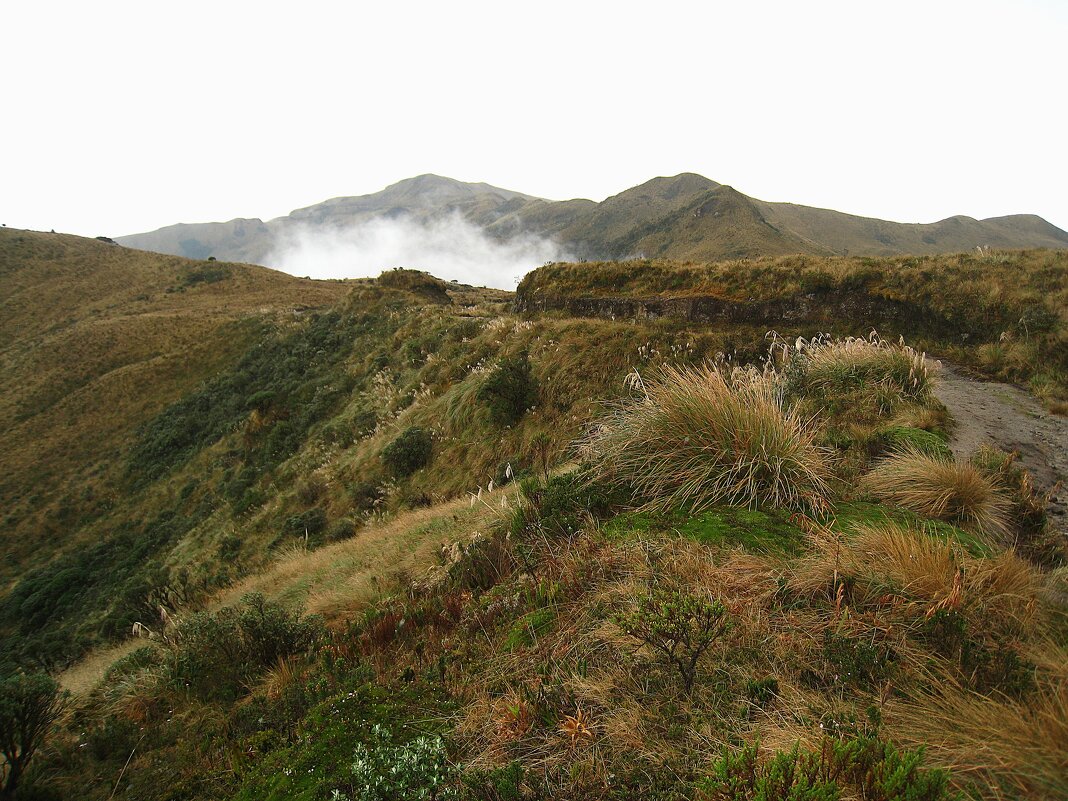 Кусочек горной Колумбии. - unix (Илья Утропов)