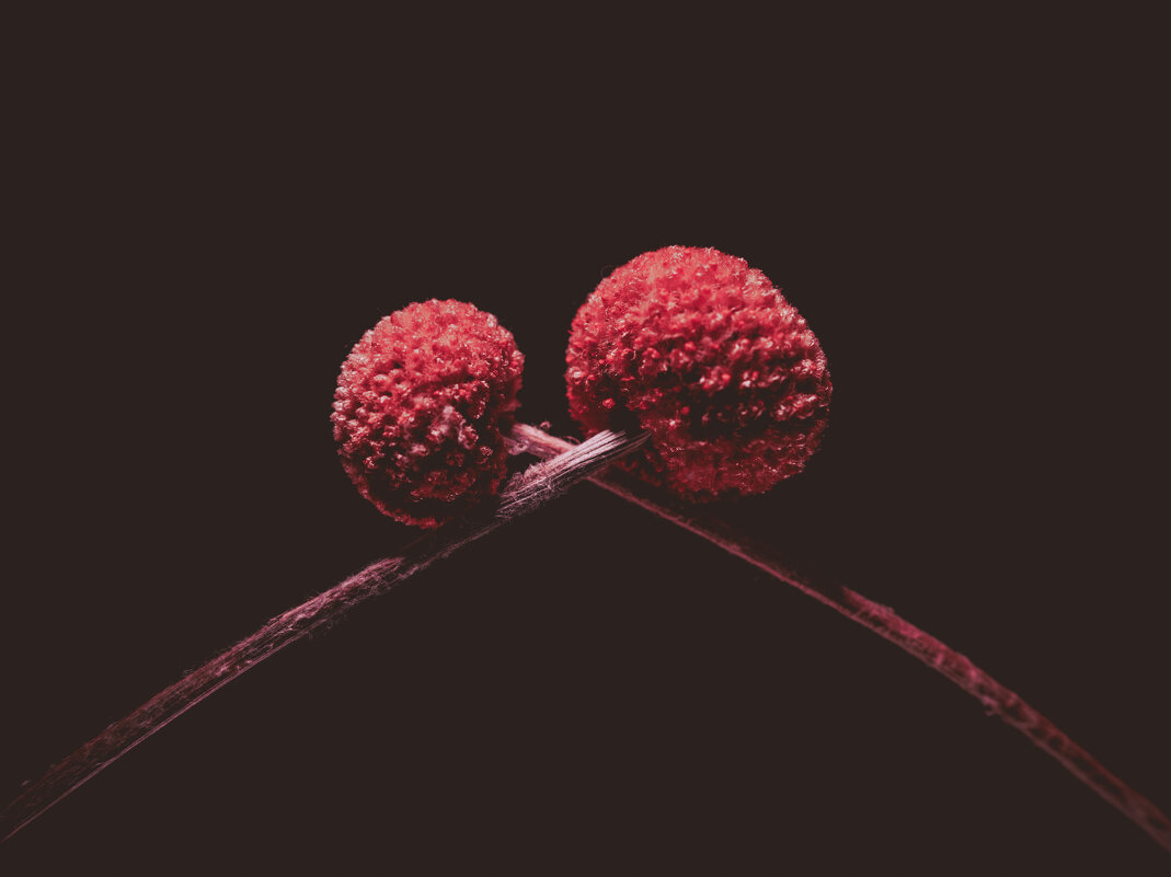 О хзбъятия - Илья Шенгелия