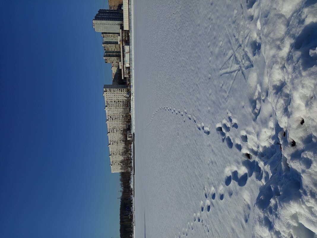 Настоящий март - Андрей Лукьянов