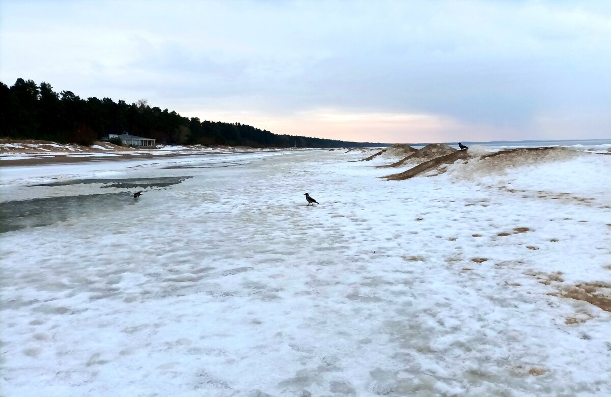 Прогулка в Нарва-Йыэсуу - Veera V