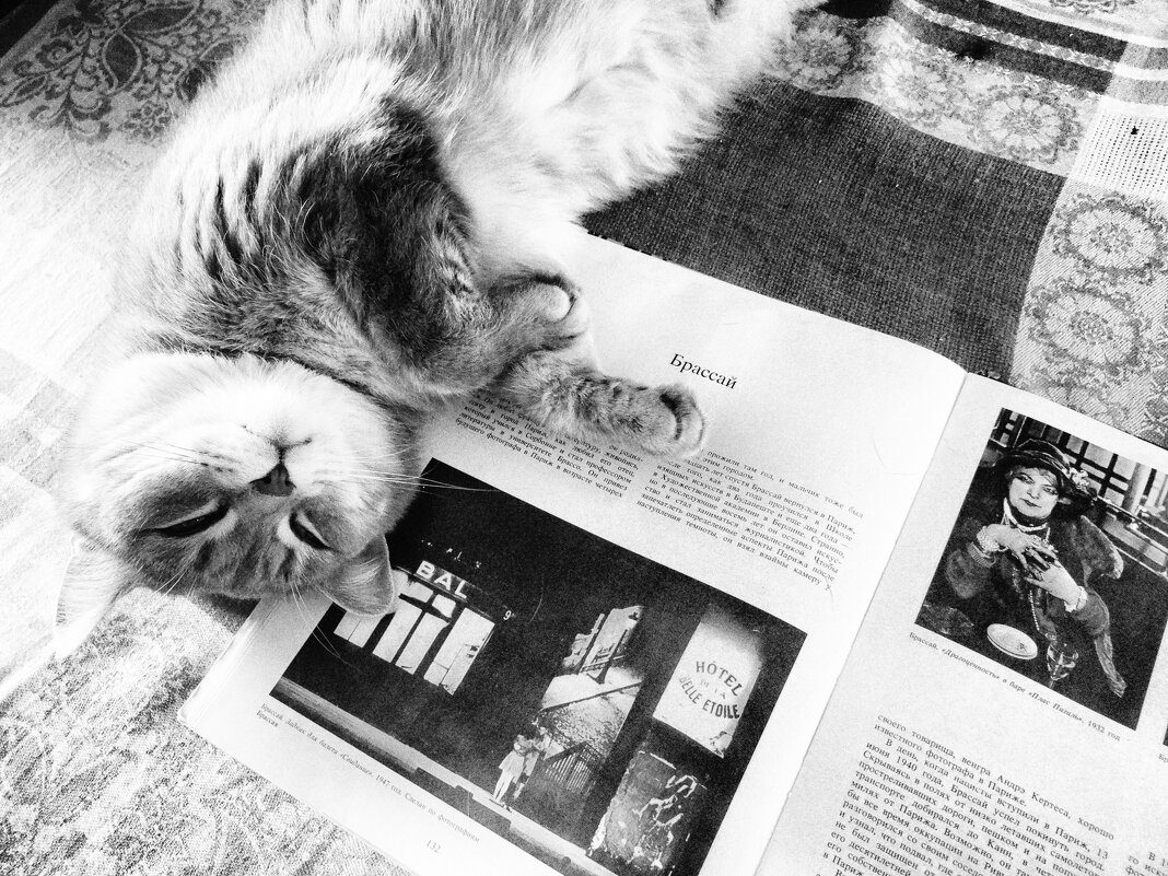 Лежу. Гляжу. Бижу - Maria Rainer