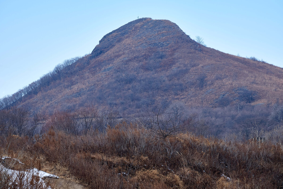 Сопка - Пал Саныч