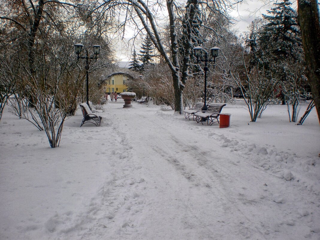 Зимний день - Роман Савоцкий