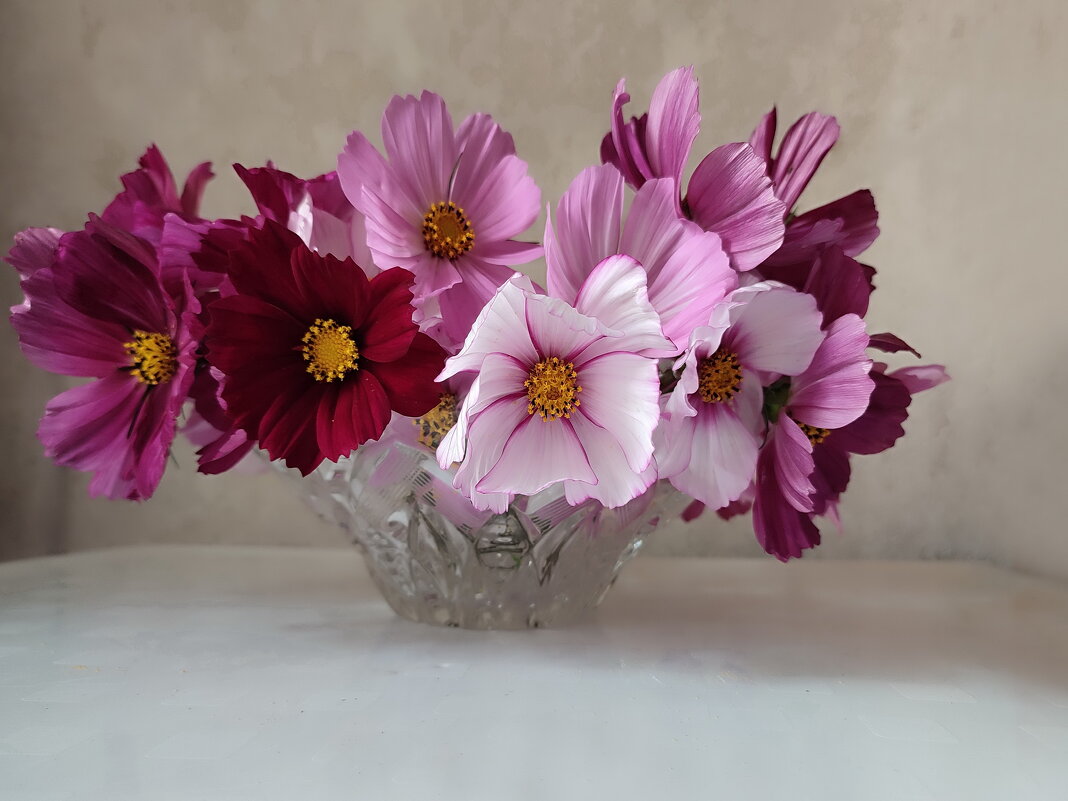 Космеи букетик - Валентина Богатко 