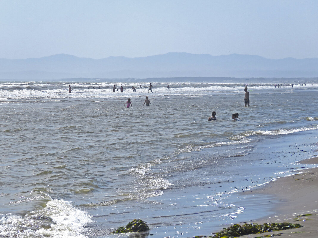 Лето на Сахалине - ИРЭН@ .