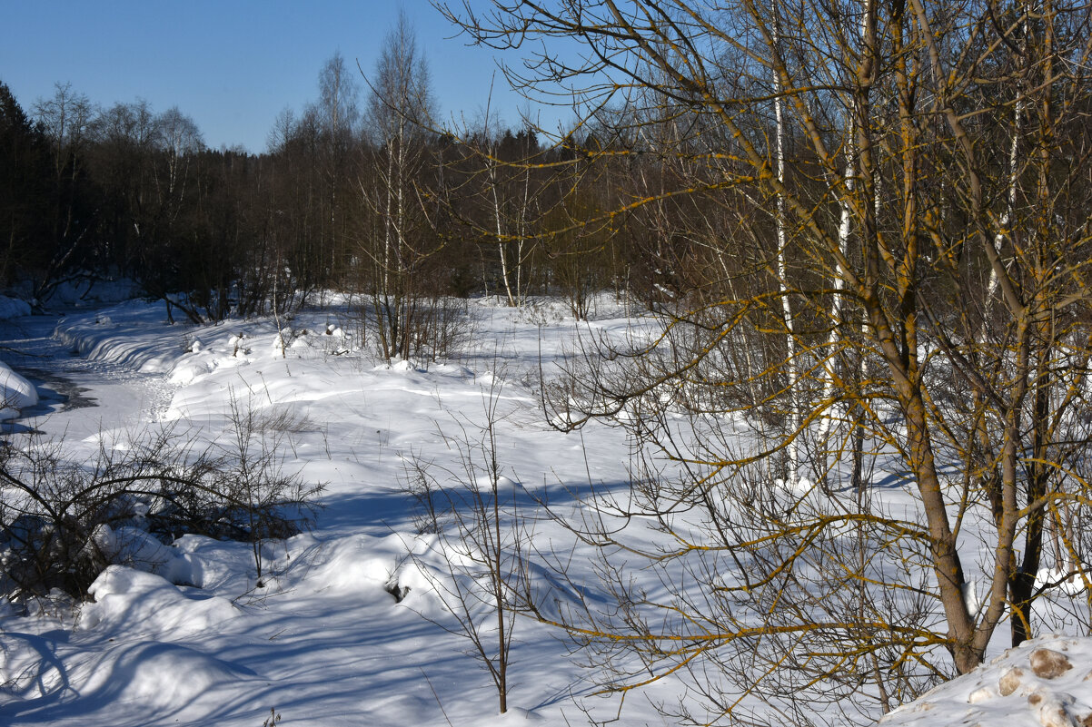 Московская область. Федоскино. - Наташа *****