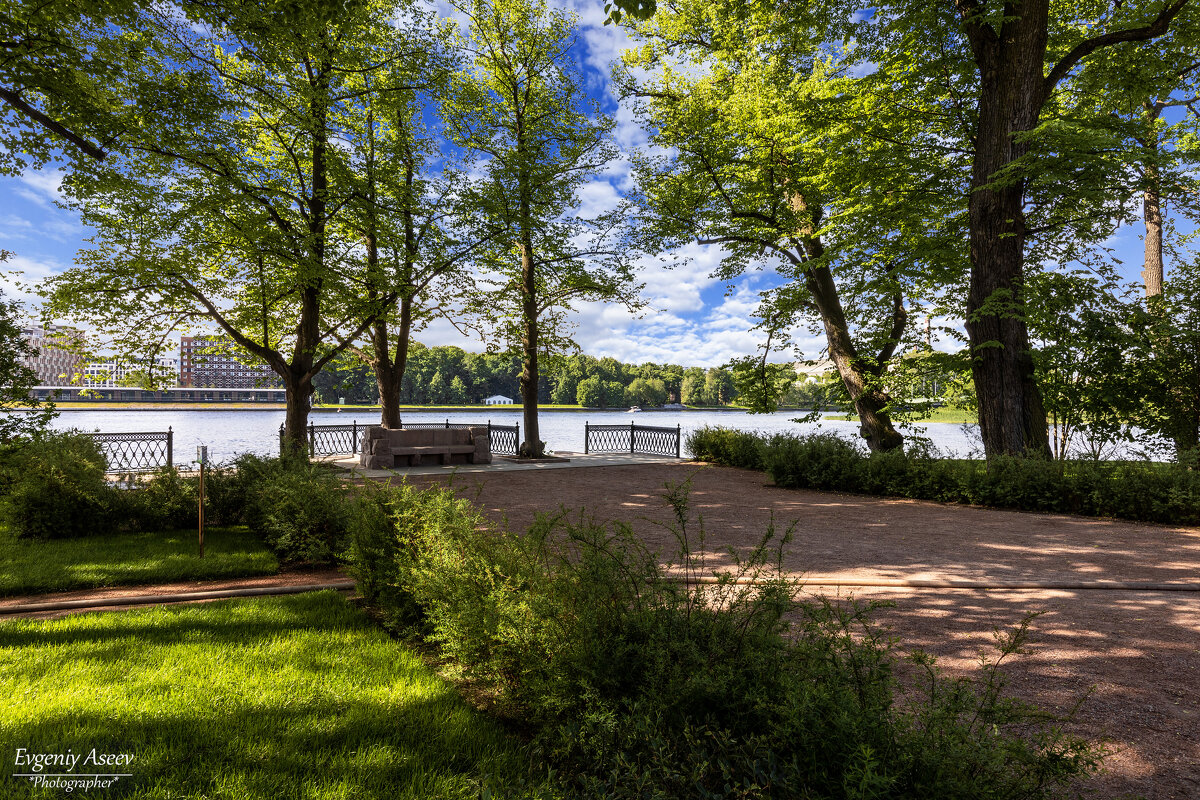 Летнее утро на Крестовском - Евгений 