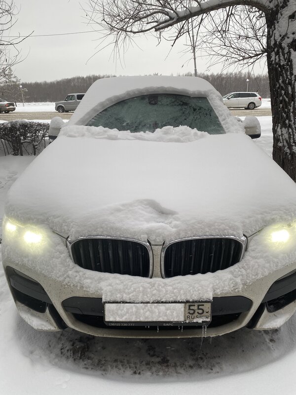 Опять снег - Savayr 