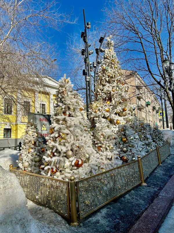 Март. В Москве полно елок) - Натали 