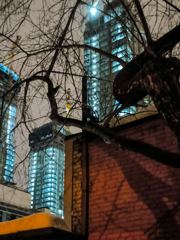 * - Сергей Полянский