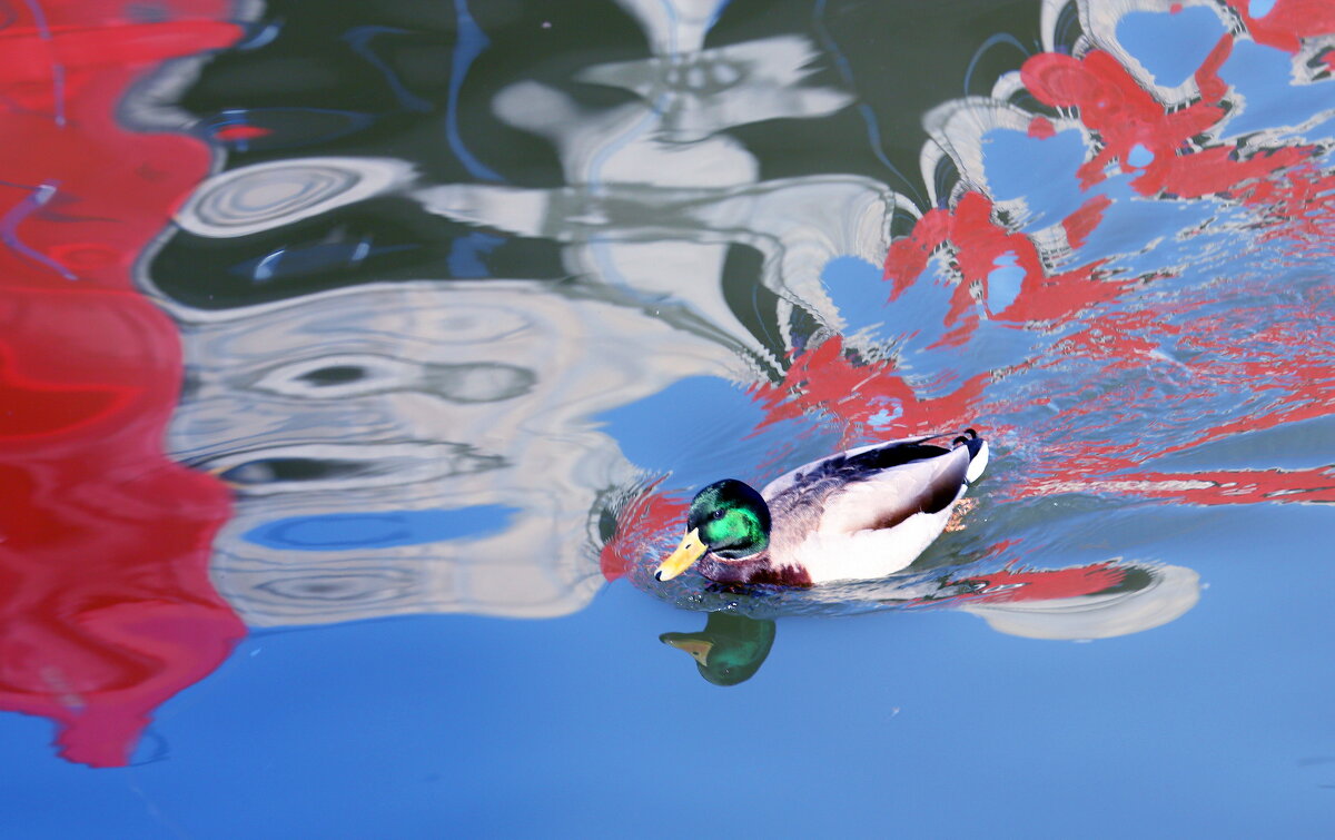 Болотная наб 13 марта - Михаил Бибичков