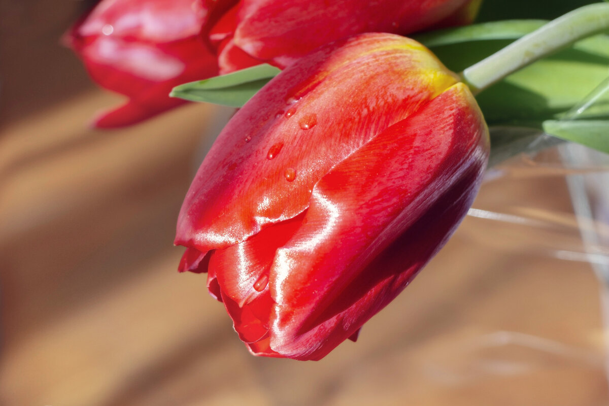 Верный признак- наступила! С Весной ! - LudMila 