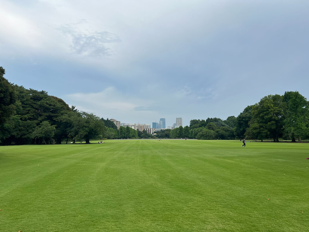 Городские парки Токио - Николай Соколухин