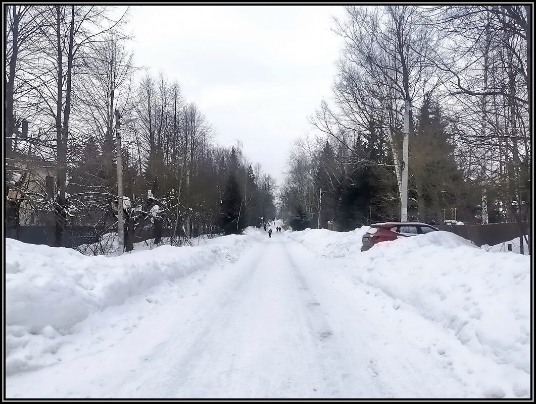 Визит на дачу - Ольга Довженко