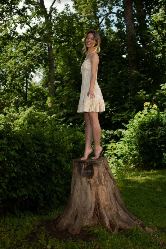 * - Евгений Ваулин