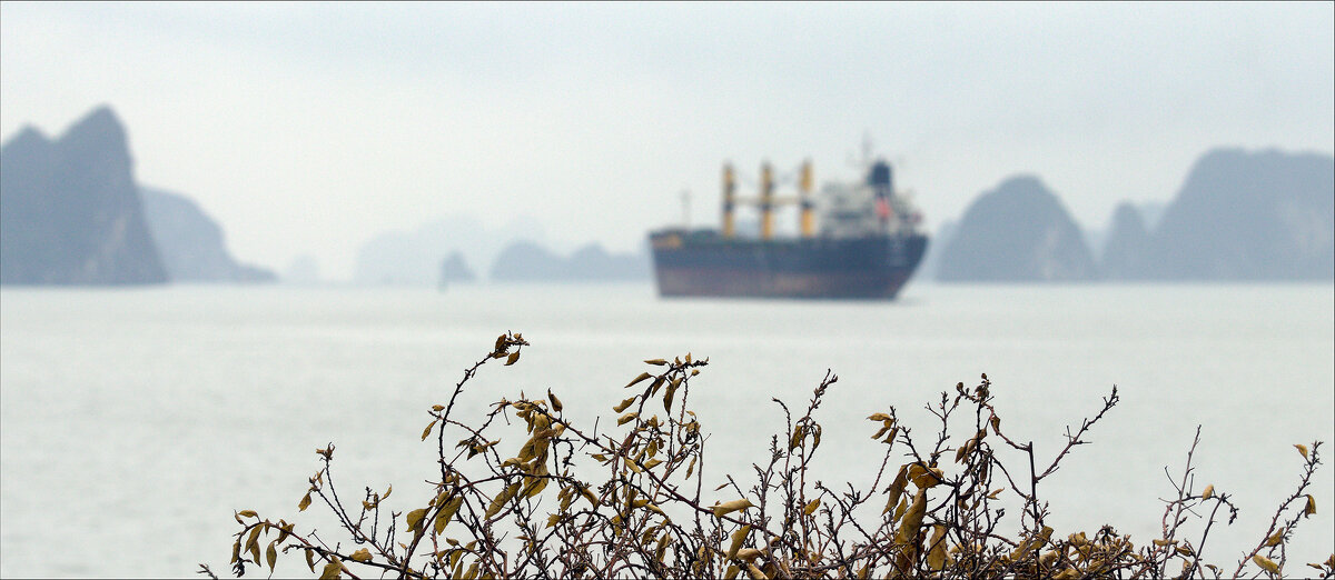 Три долгих гудка в тумане...Гудок 1. - Валерий Готлиб