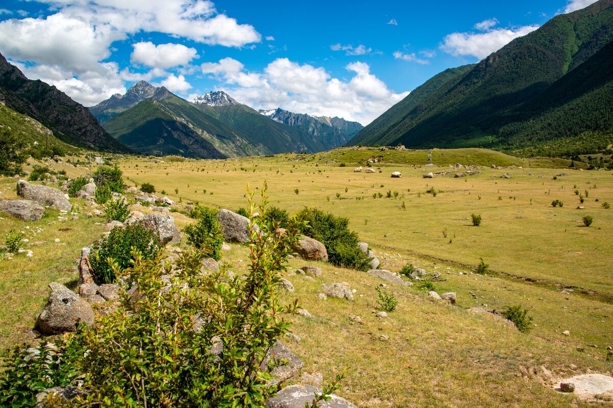 .... - Михаил Вишняков