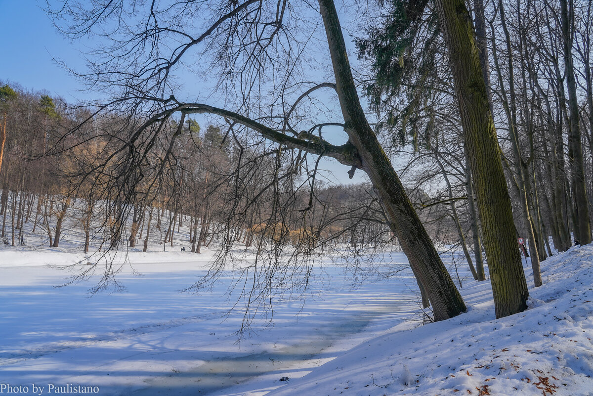 Март в Царицыно... - Владимир Жданов