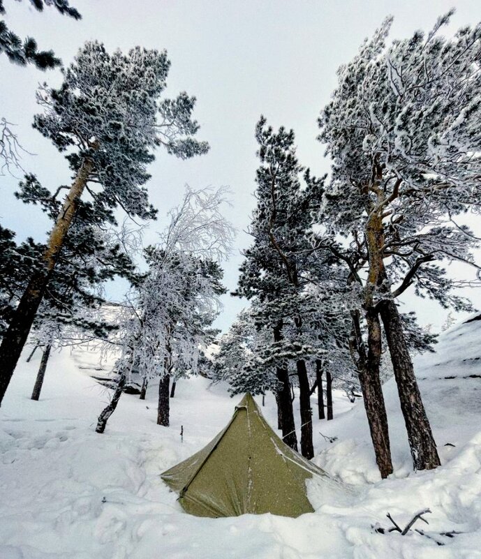 Жизнь туристов - Георгиевич 