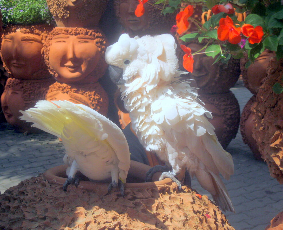 Продолжение - ирина Продолжение - ирина