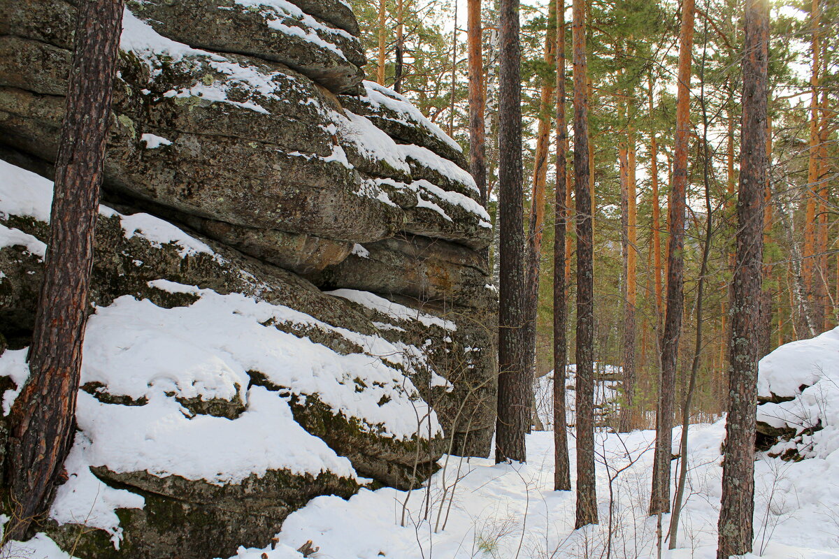 По тропе терренкура "Скала 4 брата" - Татьяна Лютаева По тропе терренкура "Скала 4 брата" - Татьяна Лютаева